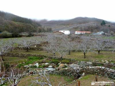 Cerezos en flor; Valle del Jerte; viajes esqui organizados viajes en nochevieja puente de semana san